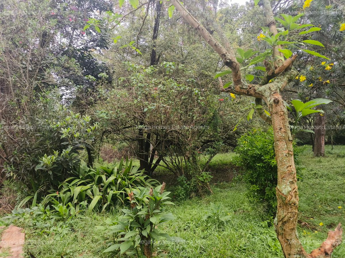 Residential Land in Kitisuru - 3