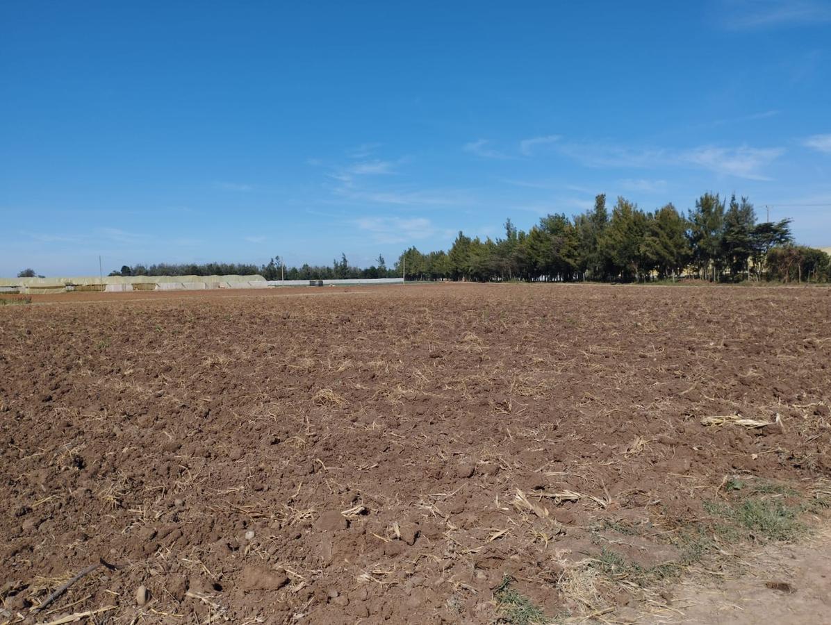 60 ac Land at Kirimukuyu - 5