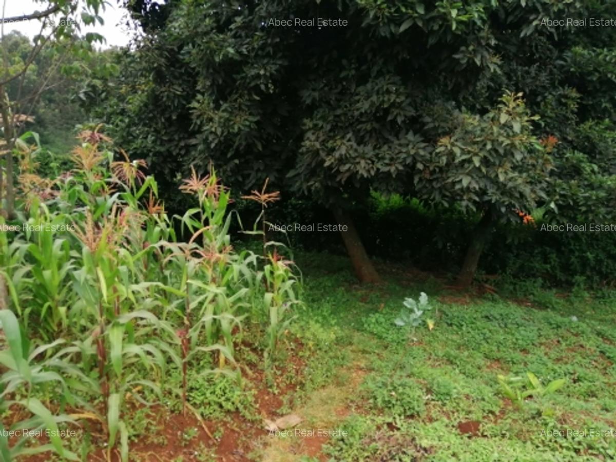 0.3 ac Residential Land at Kikuyu Road - 7