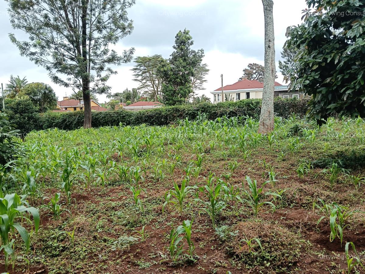 Land at Mimosa Road - 9