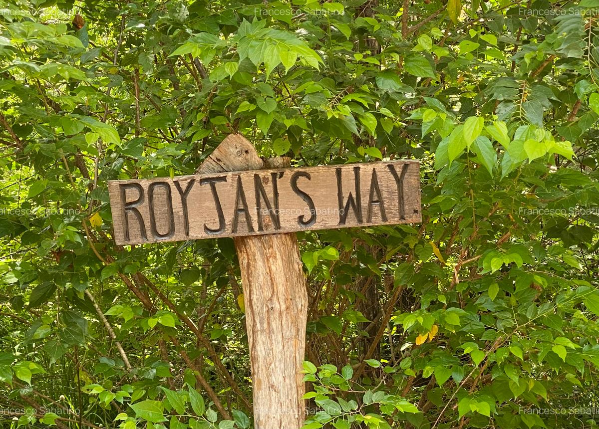 0.5 ac Land in Watamu - 2