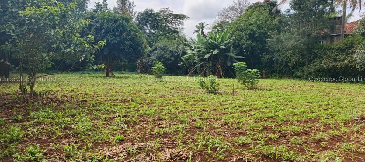 0.5 ac Land in Runda - 4