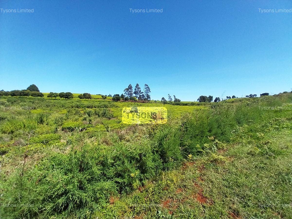 8 ac Land in Tigoni - 4