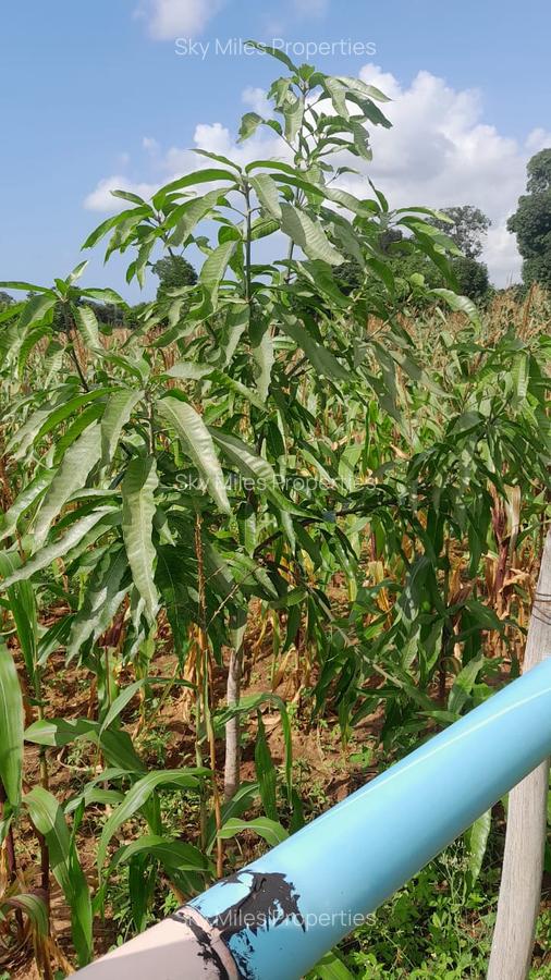 13 ac Land at Majaoni - 9