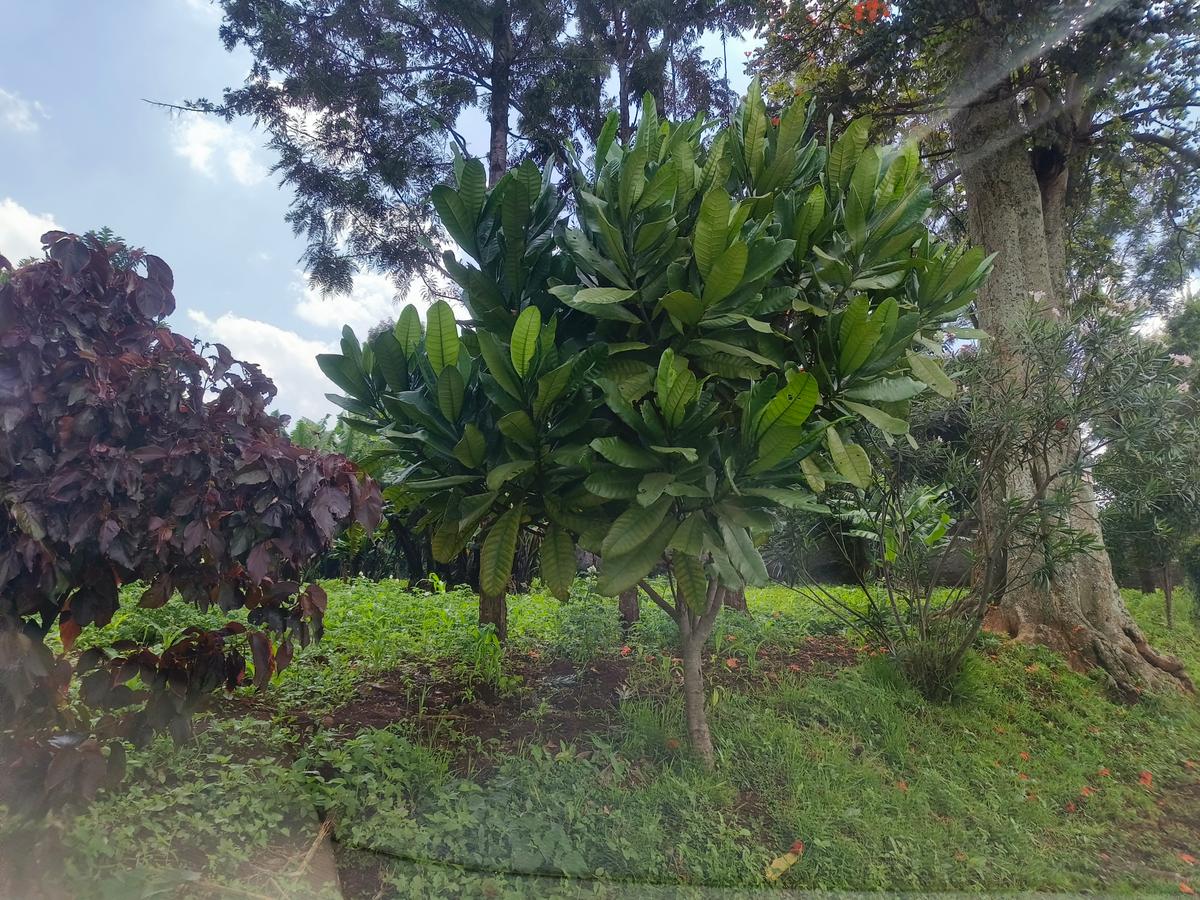 Land at Runda - 1
