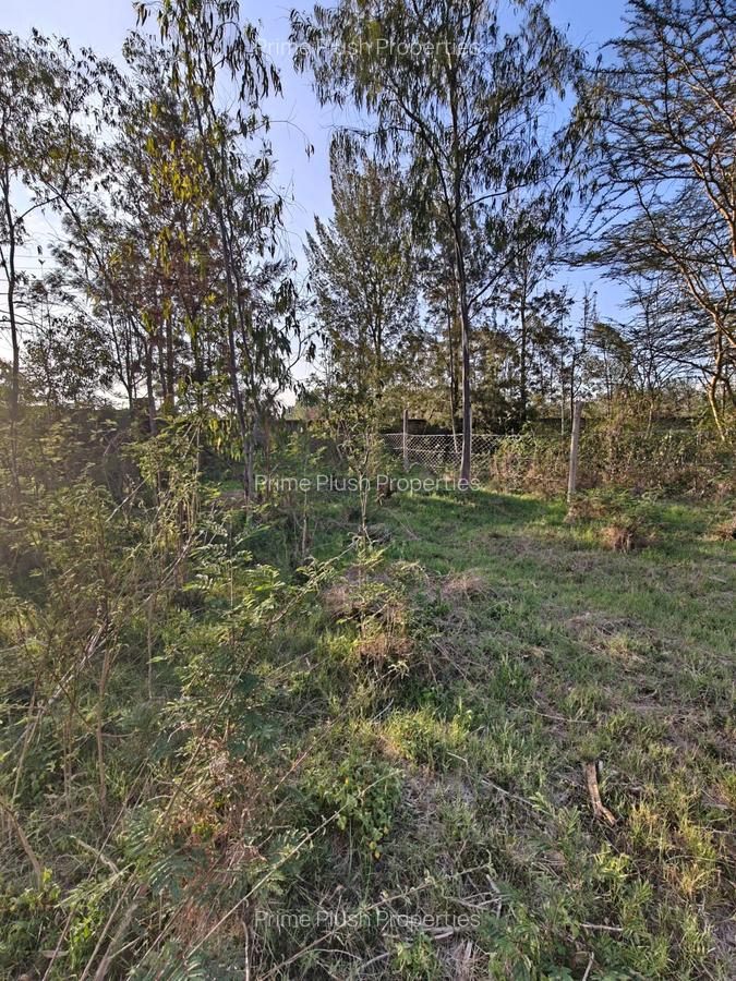 0.57 ac Land in Karen - 3