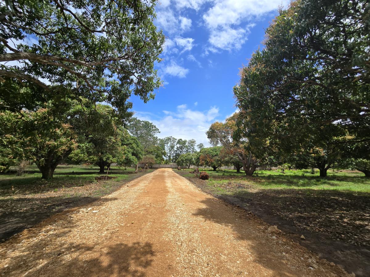 Land at Mombasa Malindi Highway - 8