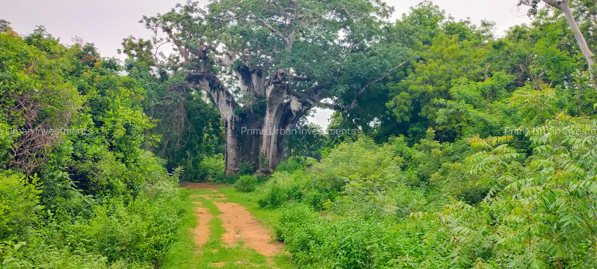 Land in Vipingo - 14