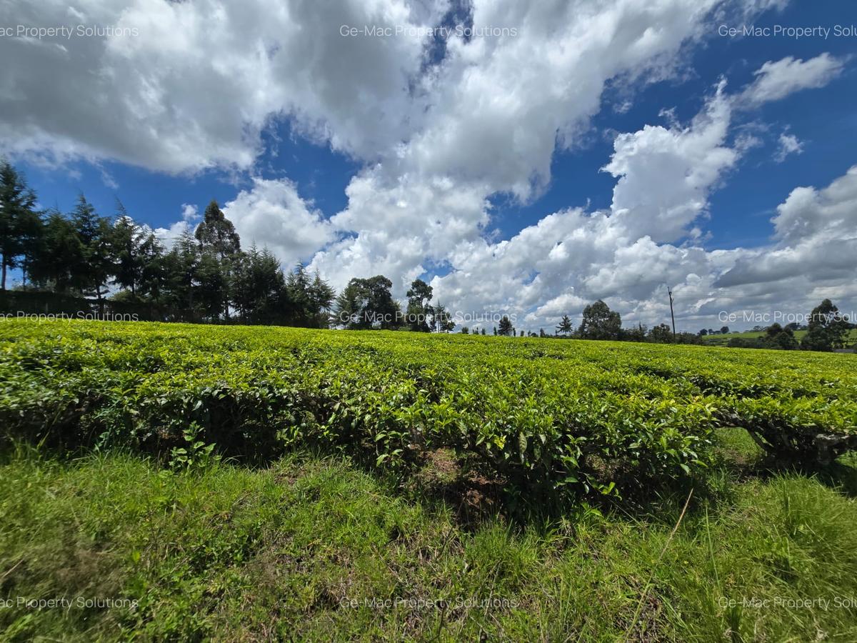 10 ac Residential Land in Tigoni - 3