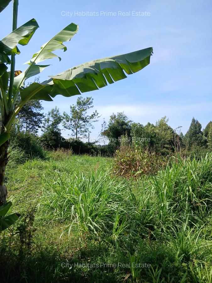 3 ac Land in Kikuyu Town - 3