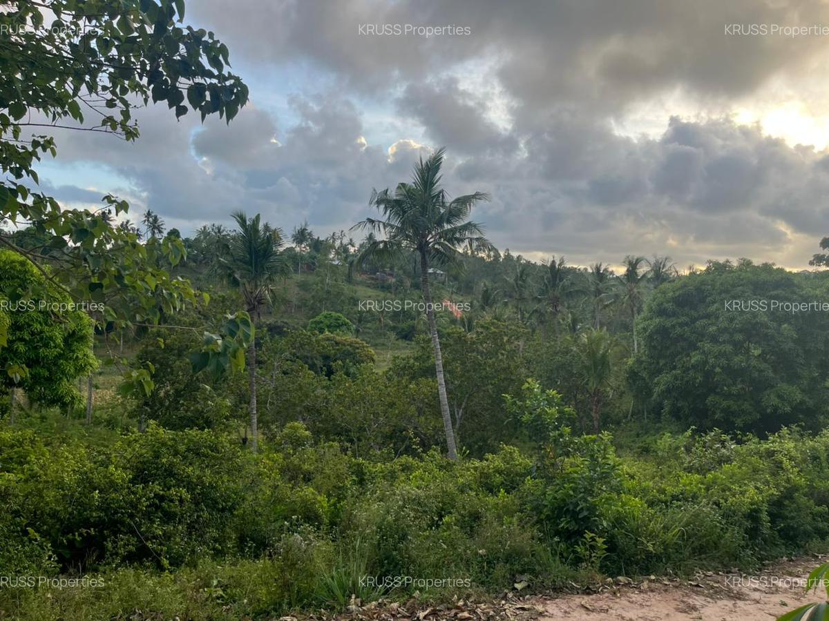 0.6 ac Land at Ls219 - 2