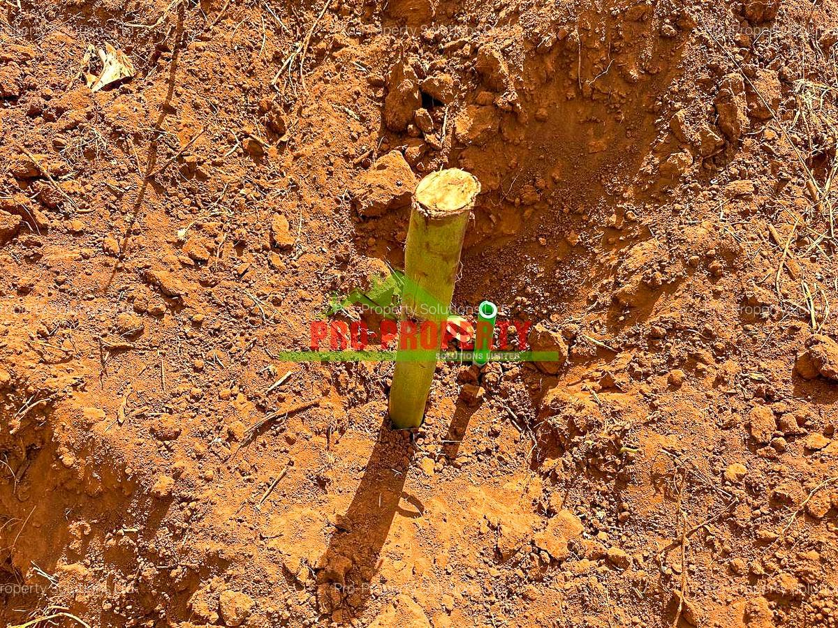 0.044 ha Residential Land at Ondiri - 11