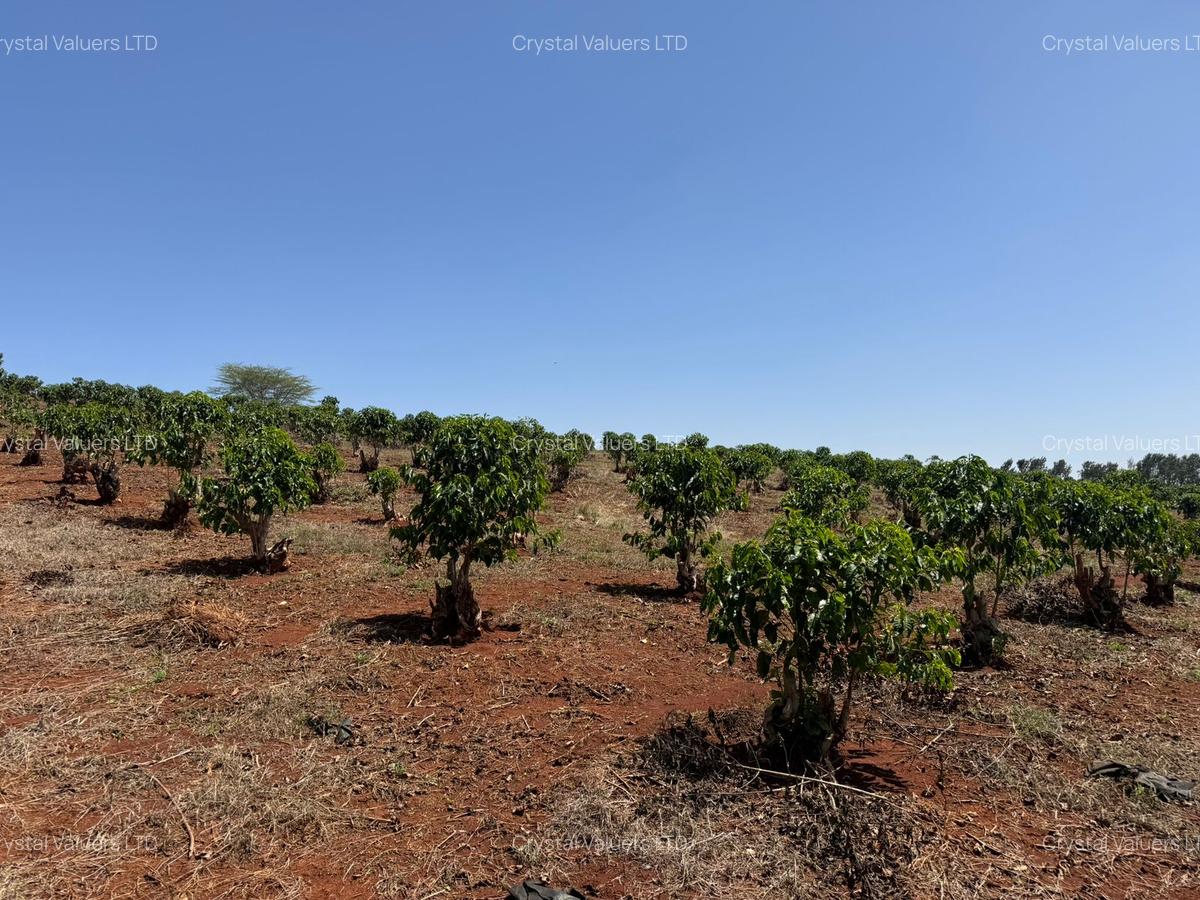 Land in Tatu City - 1