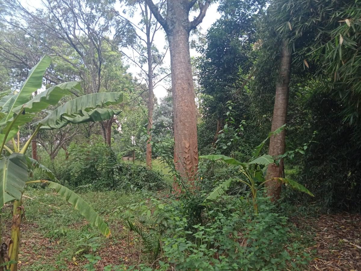 Land at Kitisuru Road - 9