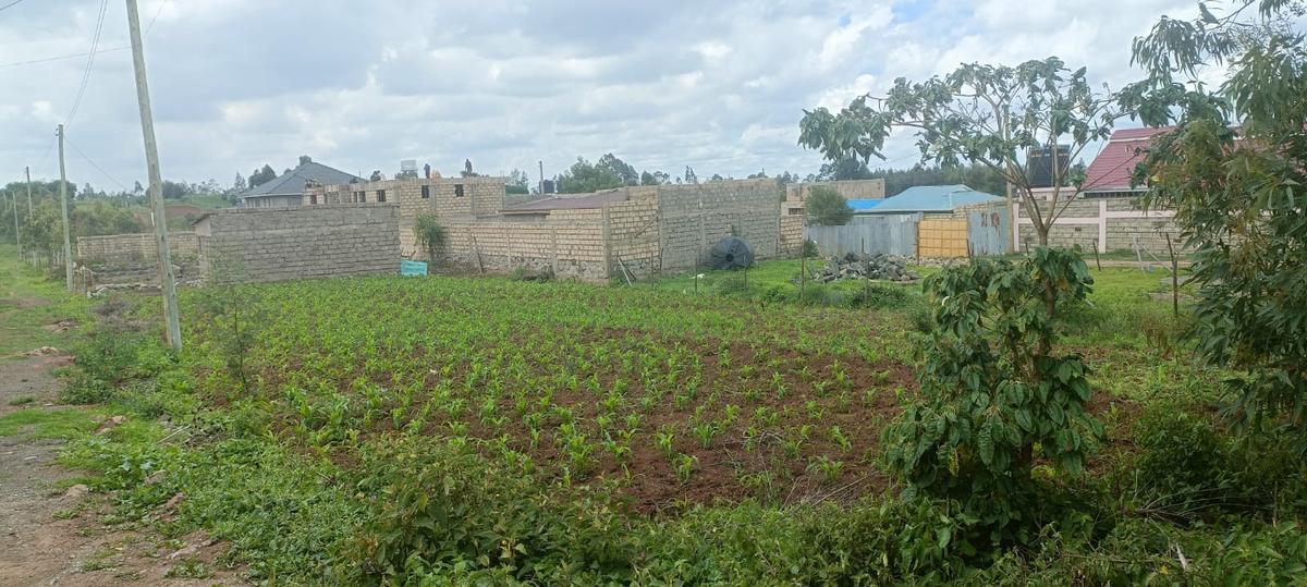 0.044 ha Residential Land at Kikuyu Kamangu - 2