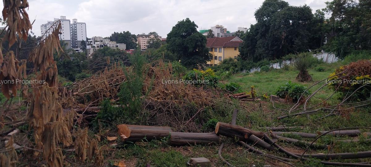 1.374 ac Land at Riara Road - 3