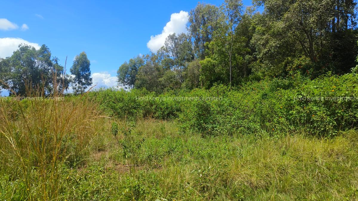 607 ac Land at Makuyu - 6