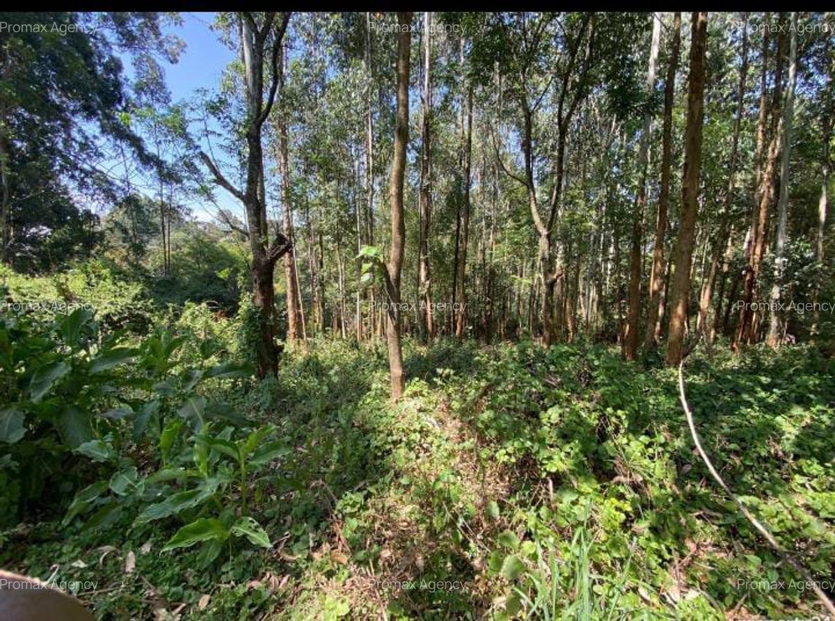 Land in Kitisuru - 5