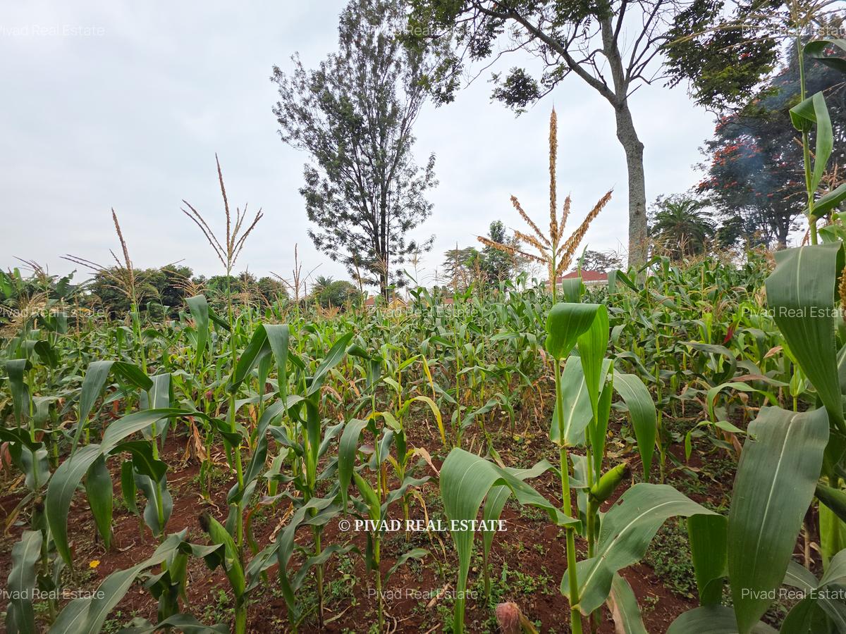 0.5 ac Land in Runda - 3