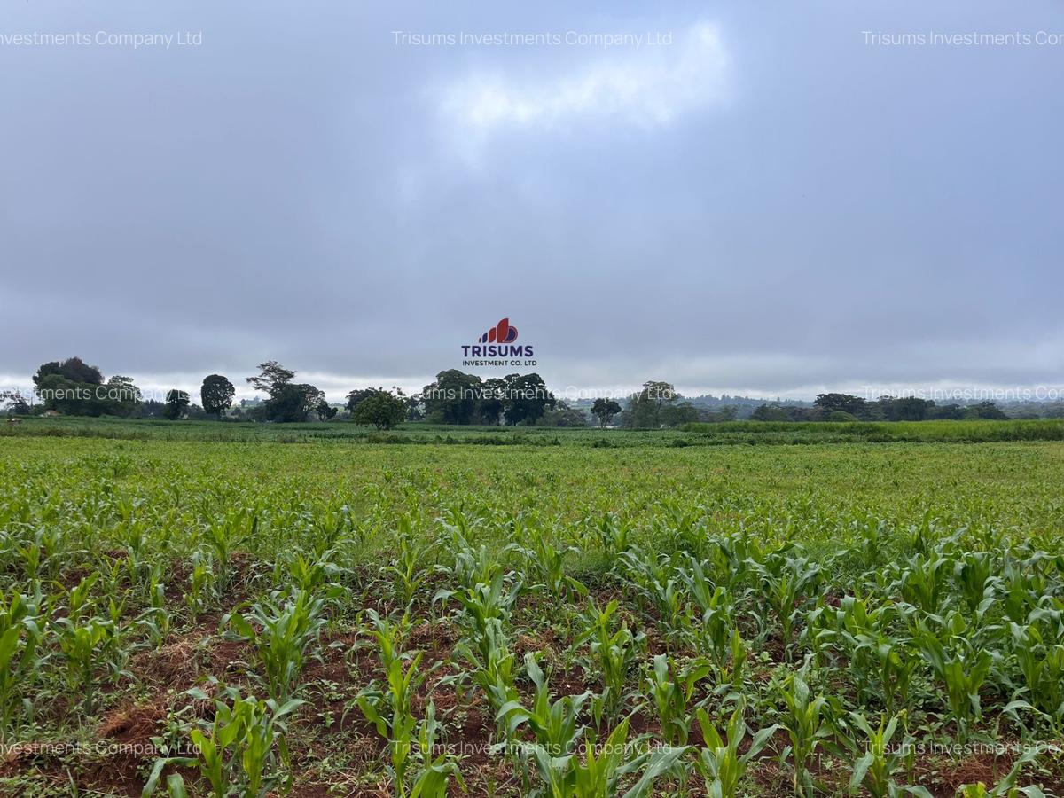3.7 ac Land at Kiambu - 9