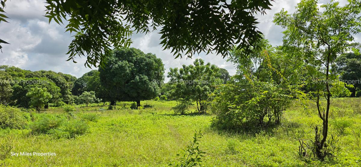 20 ac Land at Mtwapa - 15