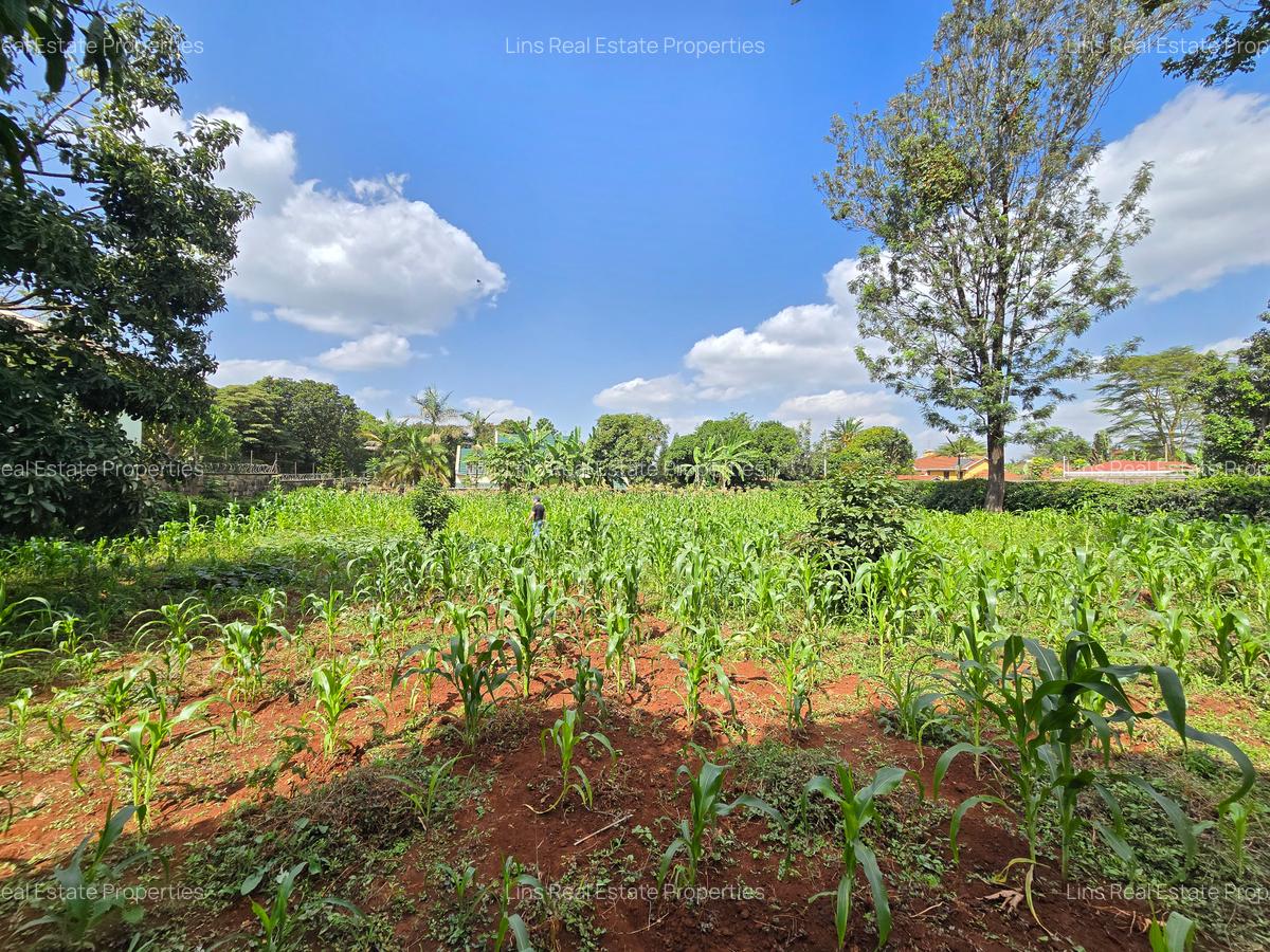 Residential Land in Runda - 4