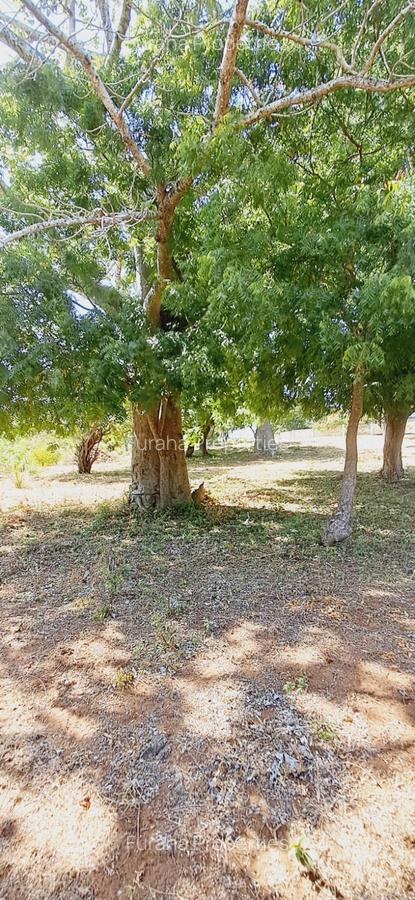 Land in Kikambala - 9