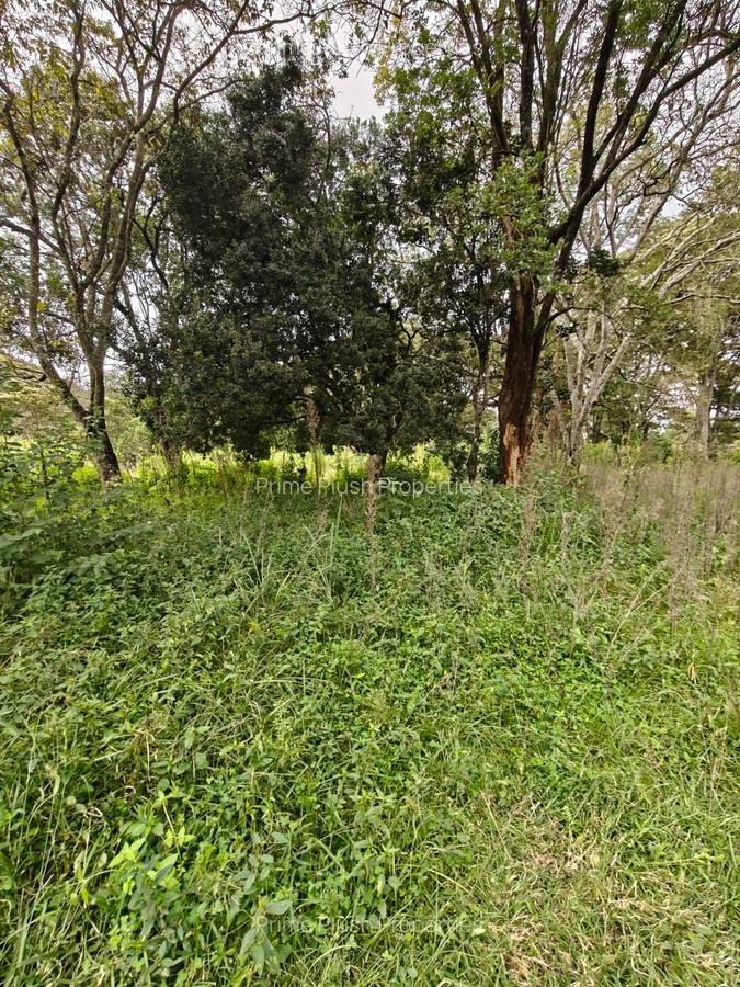 9 ac Land in Karen - 3