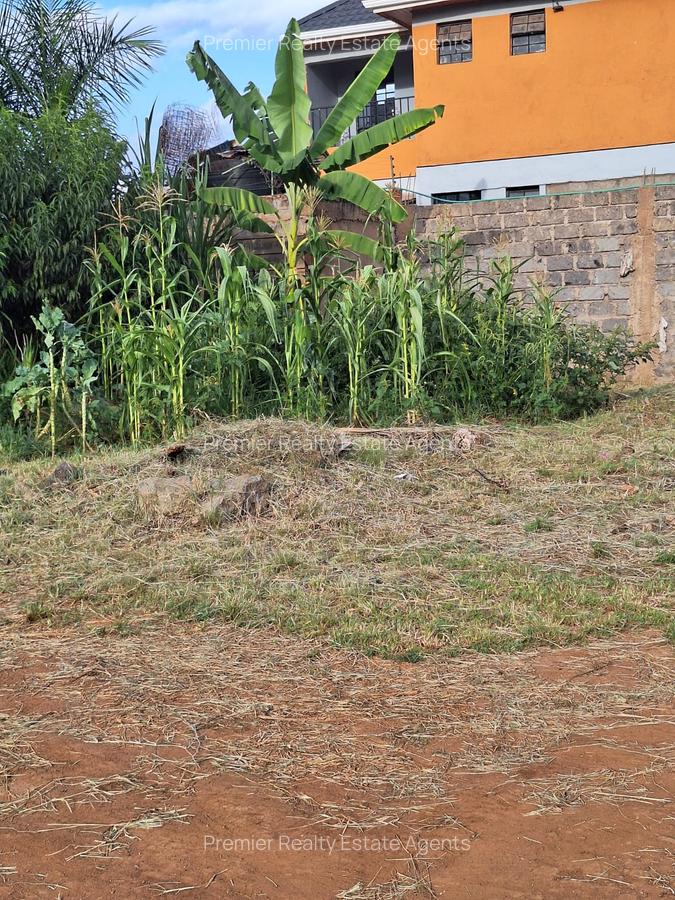 0.125 ac Residential Land at Kenyatta Road - 13