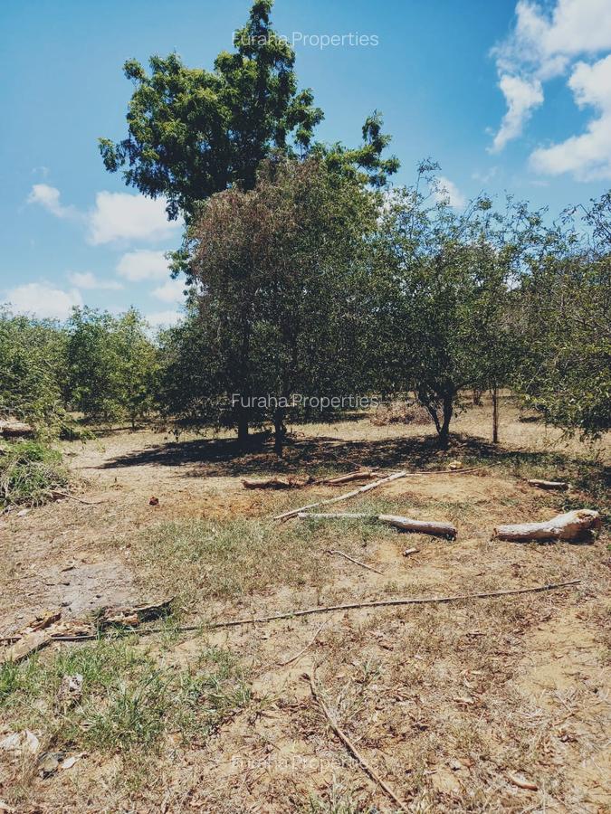 Land at Near Munarani - 9