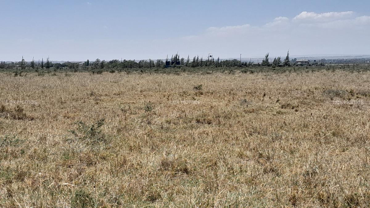 Commercial Land at Ebenezer Childrens Home - 10