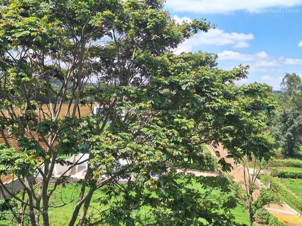 0.25 ac Residential Land at Tigoni - 4