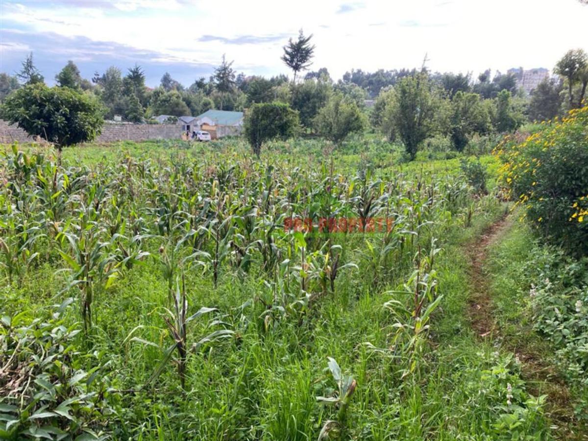 4,000 m² Land in Limuru - 5