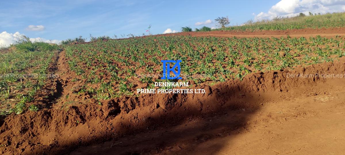 0.05 ha Residential Land at Thigio - 6