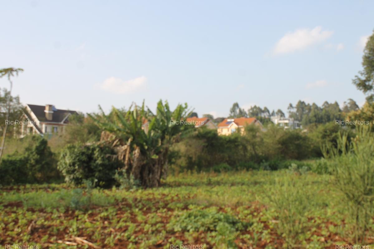 0.25 ac Land at Gikambura - 7