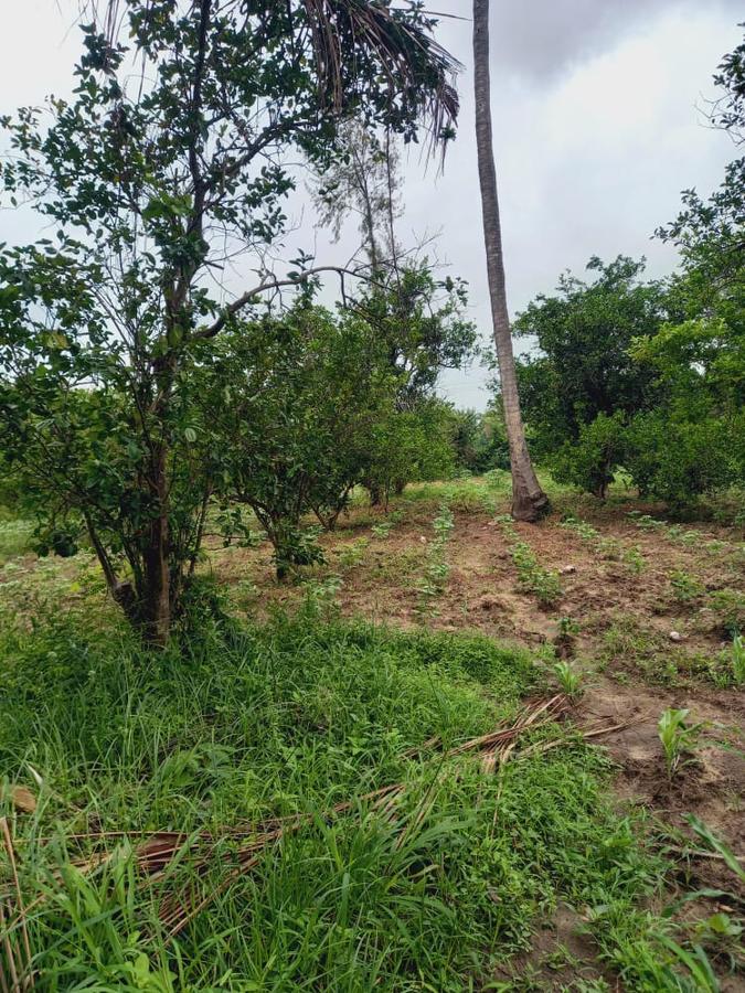 1 ac Land in Kikambala - 1