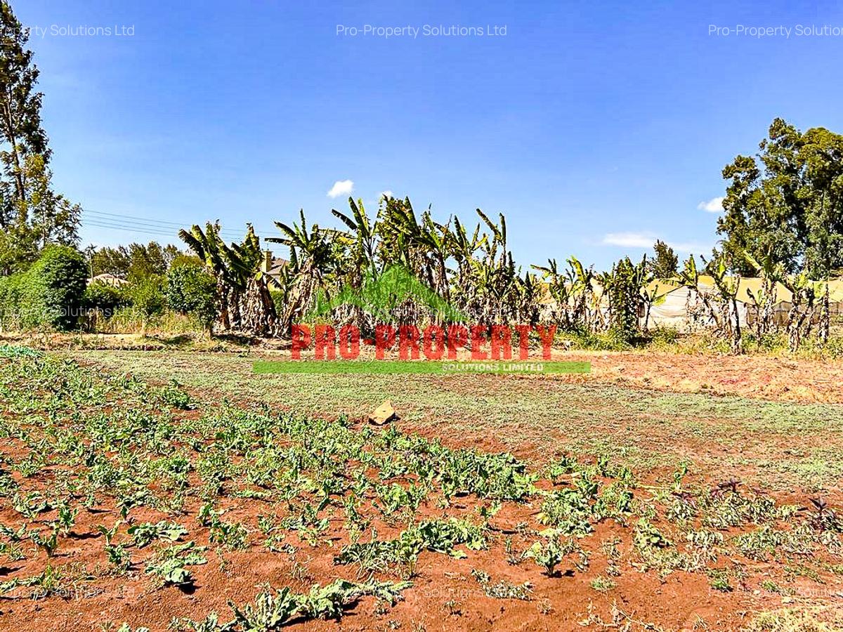 0.1 ha Residential Land at Ondiri - 4