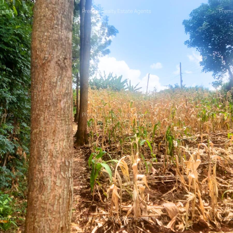 0.25 ac Commercial Land at Muthiga - 3