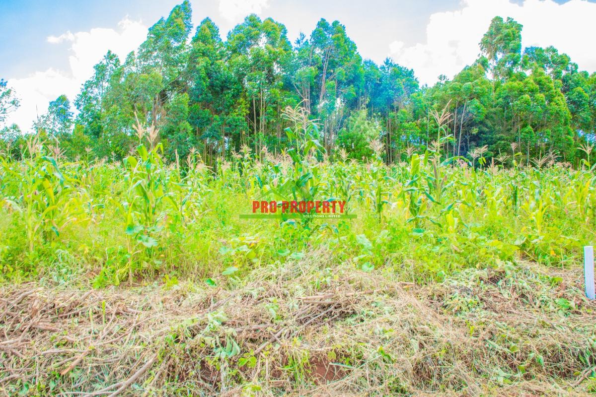 0.05 ha Residential Land at Gikambura - 7