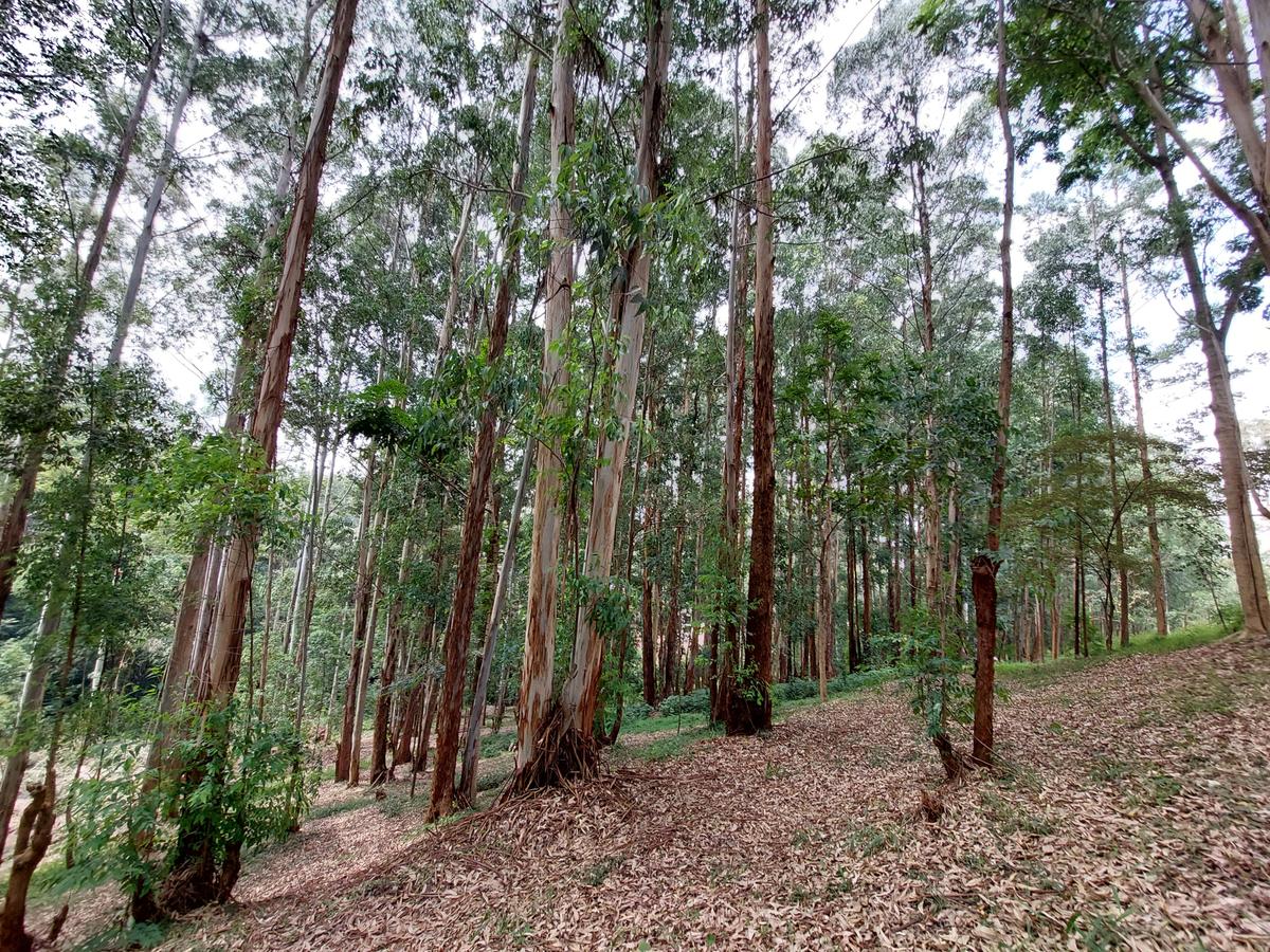 Residential Land at Rosslyn Redhill Road - 19