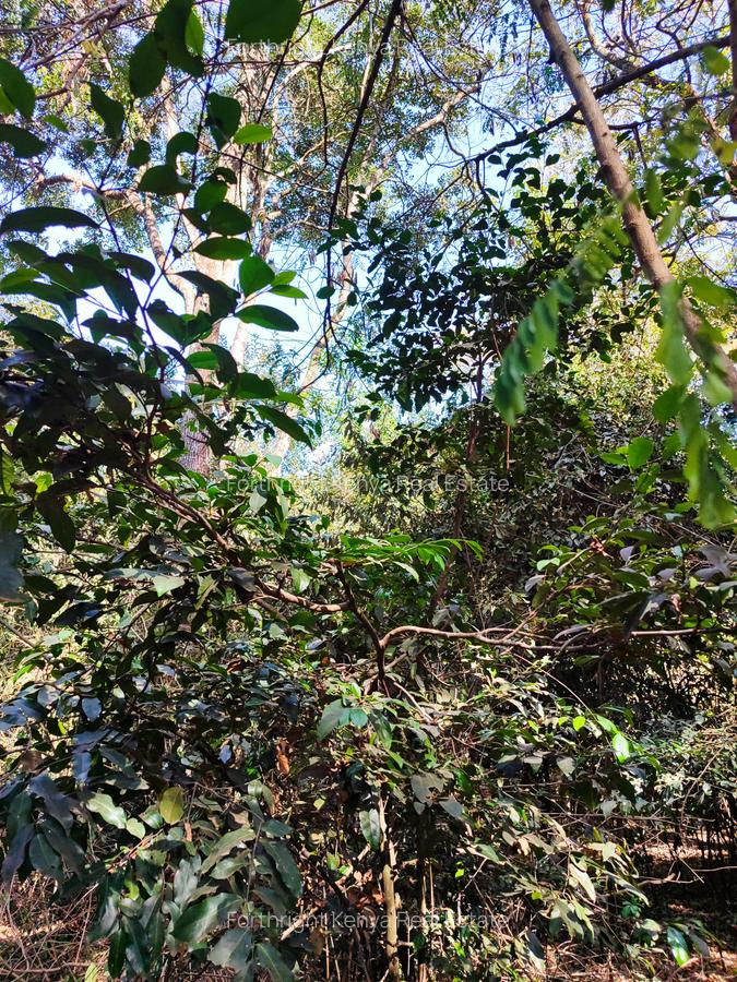 0.5 ac Land at Hardy - 9