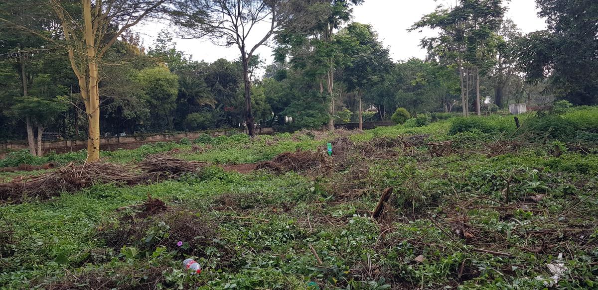 Residential Land at Shanzu Road - 7