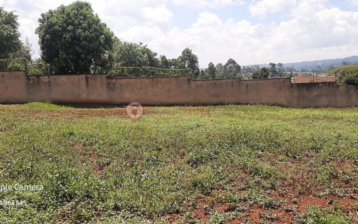 Residential Land at Runda Mumwe - 9