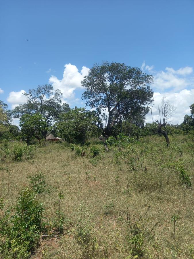 40 ac Residential Land in Kilifi - 3