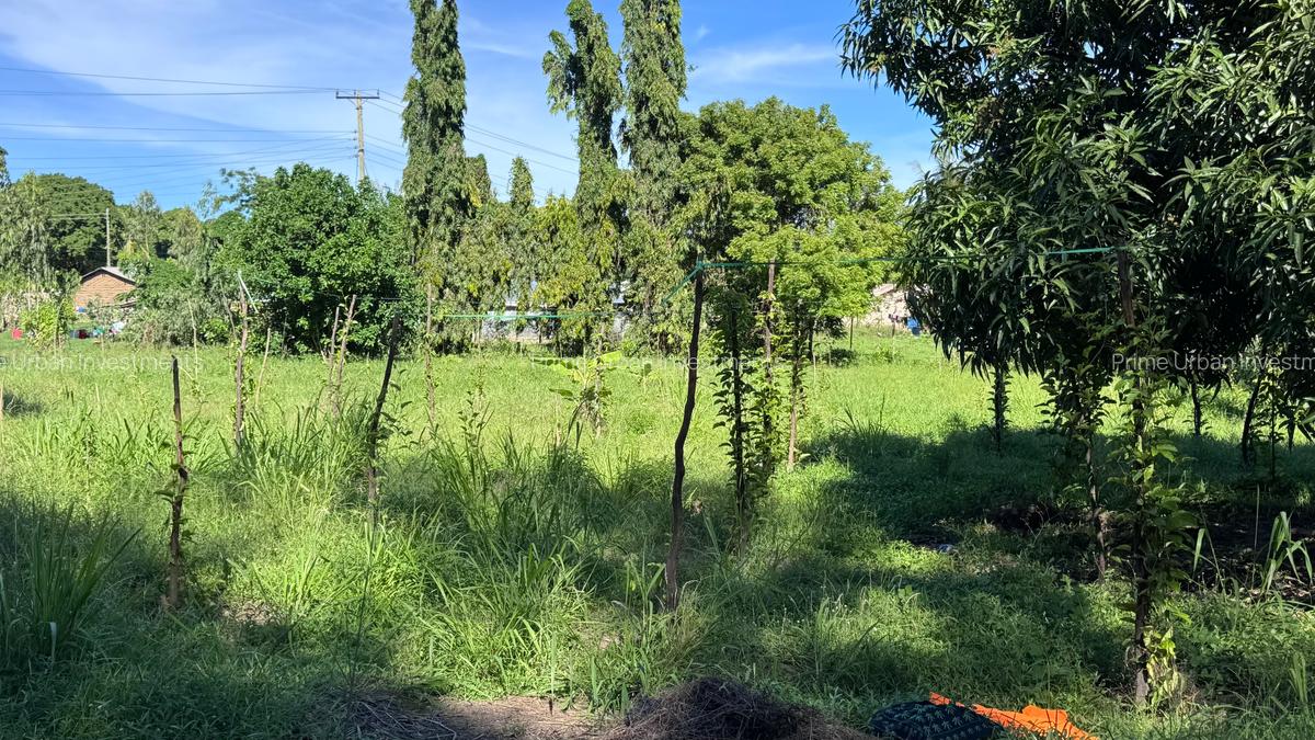 2 ac Land at Mtwapa - Animo - 18
