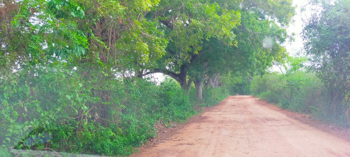 Land in Vipingo - 10