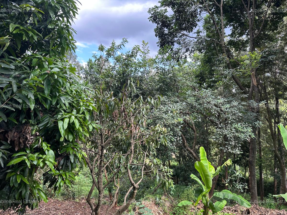 1 ac Land in Nyari - 3