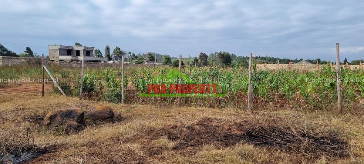 0.05 ha Residential Land at Lusingetti - 7