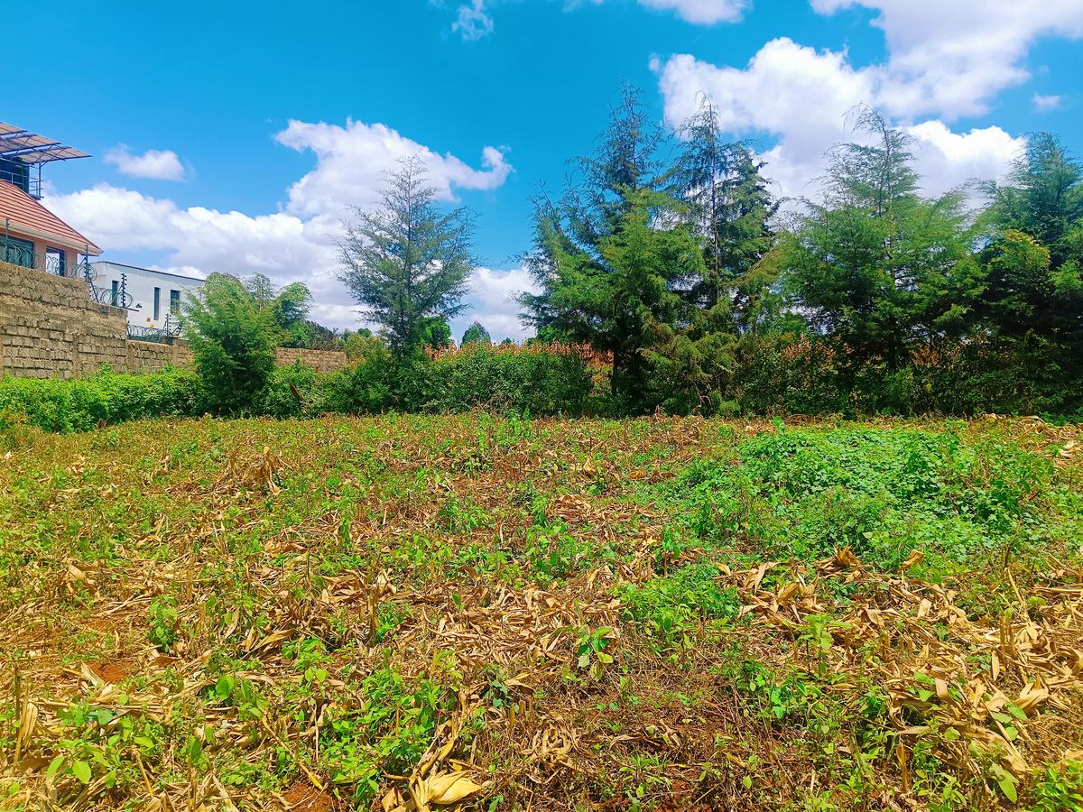 500 m² Residential Land at Riu-Nderi - 5