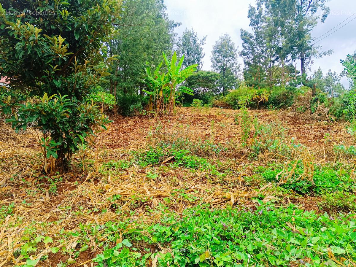 1,000 m² Residential Land at Matasia - 6